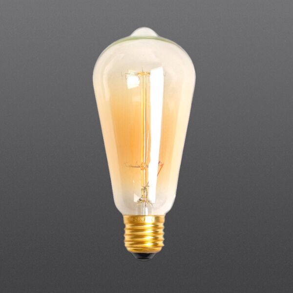 Edison Bulb ST58